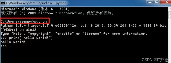 Python人狗大CSDN：深入探讨Python在人工智能与机器学习中的应用及其对未来技术发展的影响