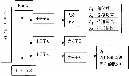 家庭1v2或1v3：对比分析不同家庭结构下的亲子关系与教育方式的影响研究