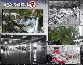 公园后山的交易：惊现地下秘密交易网络，数亿财物在黑暗中流通，引发社会广泛关注！