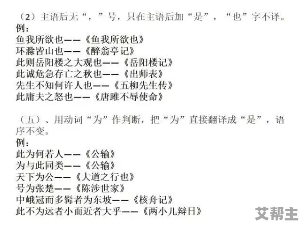 深入解析：巴尔登与阿基态的独特特点概览