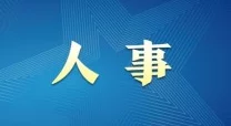 久久视屏这里只有精品6国产：最新影视作品引发热议，观众对内容质量和多样性的期待不断攀升