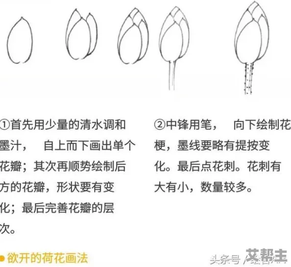 千层莲花裹茎术怎么练：从基础到进阶的全面指导与实用技巧分享