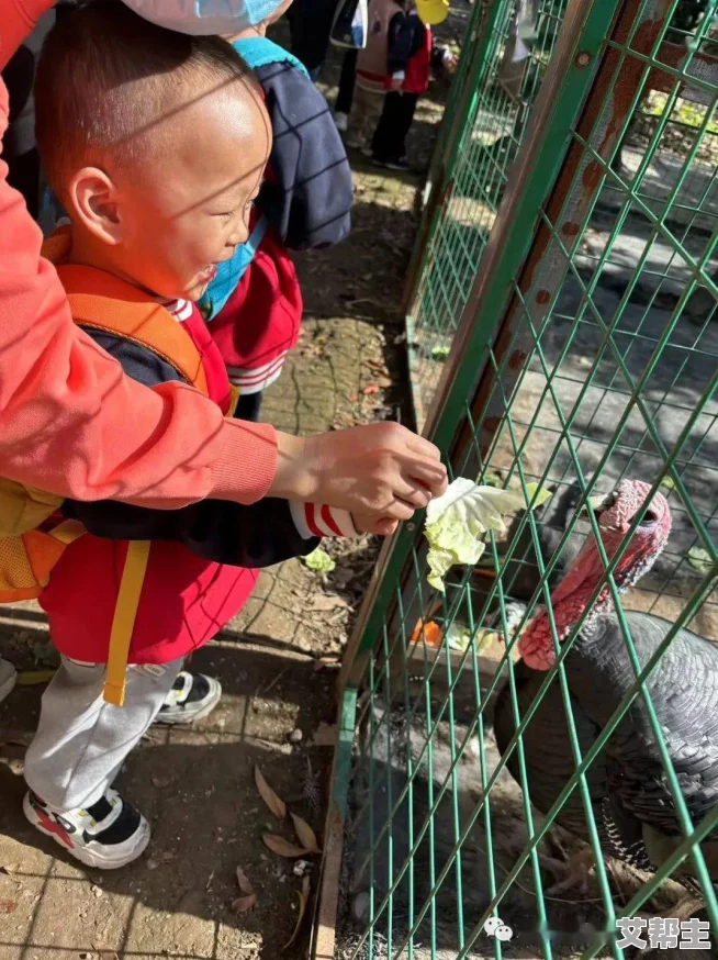 幼童雏鸟短现在入口，近日多地出现幼童与小鸟亲密接触的温馨画面，引发社会关注与讨论