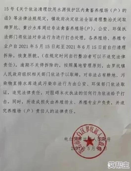 日韩十九禁：网友热议文化差异与青少年保护，认为应尊重各国法律同时加强教育引导