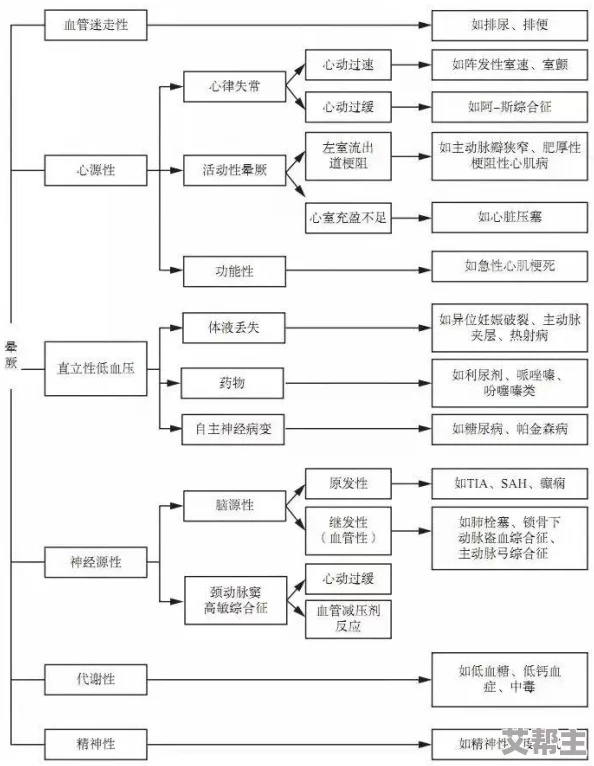 丝袜惊爆内幕：全球销量激增背后竟隐藏着不为人知的秘密与时尚界的潜规则，消费者如何被营销策略所左右