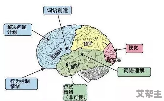 男女一级做片a性视频新研究表明观看此类内容可能影响大脑功能