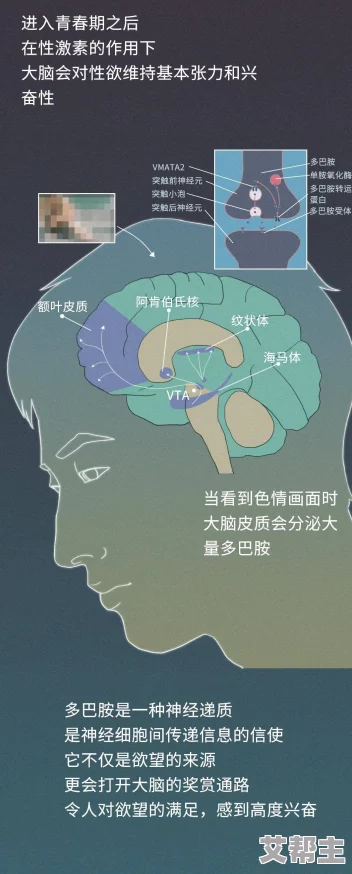 色小说图片最新研究表明阅读对大脑有益