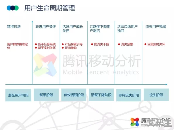 深入剖析：命运冠位指定中职阶对固有星星掉率的具体影响分析报告