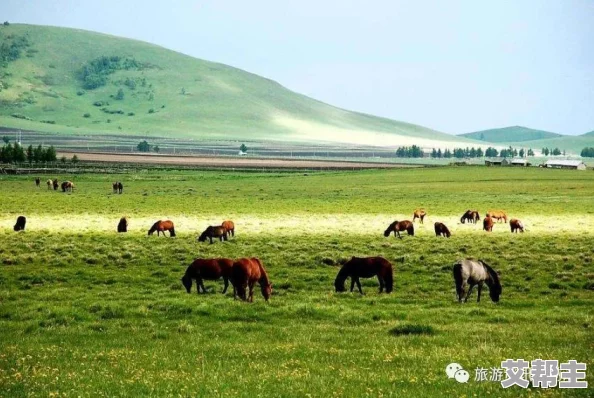 久久青青草原国产精品免费网友推荐这是一款非常好用的资源平台提供丰富多样的内容满足不同用户的需求值得一试