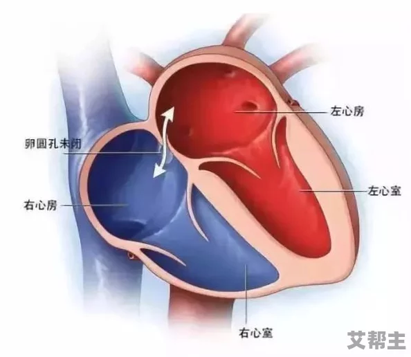 嗯啊抵在墙上狠狠撞击最新研究表明这种行为可能导致身体损伤，请谨慎模仿