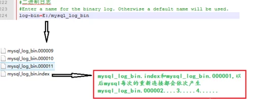 plot.log该文件记录了程序运行过程中的关键日志信息，便于调试和分析