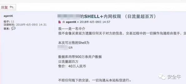 成人网站粗黑2024何加加的桃花源记